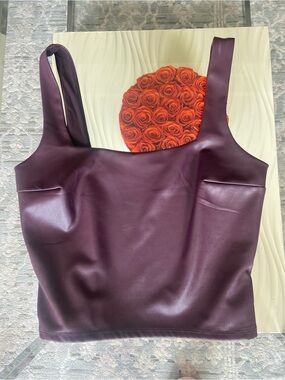 Express Plum Faux Leather Crop Top
